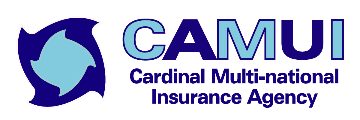 CAMUI